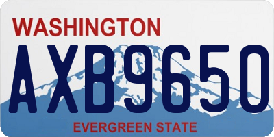 WA license plate AXB9650