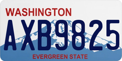 WA license plate AXB9825