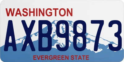 WA license plate AXB9873