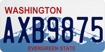 WA license plate AXB9875