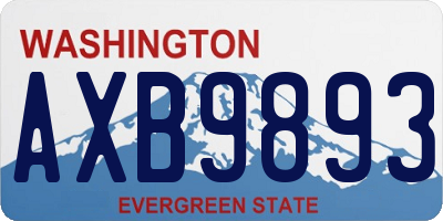 WA license plate AXB9893