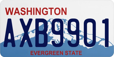 WA license plate AXB9901
