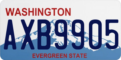 WA license plate AXB9905