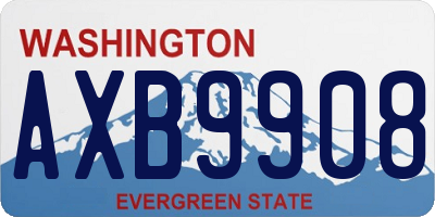 WA license plate AXB9908