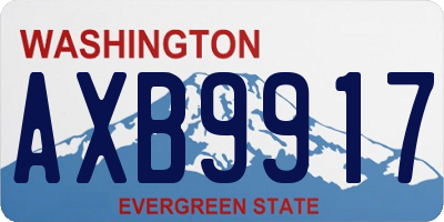 WA license plate AXB9917