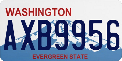 WA license plate AXB9956