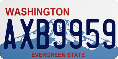 WA license plate AXB9959
