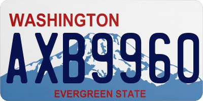 WA license plate AXB9960