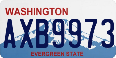 WA license plate AXB9973