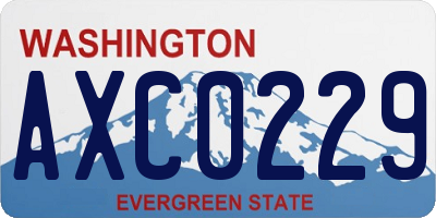 WA license plate AXC0229