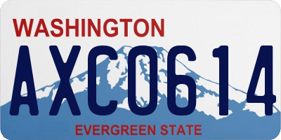 WA license plate AXC0614