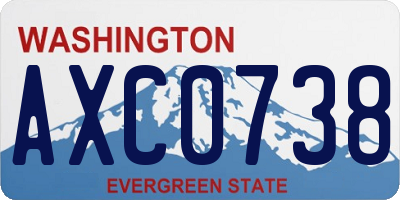 WA license plate AXC0738