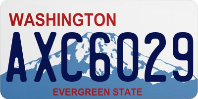 WA license plate AXC6029