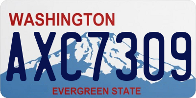 WA license plate AXC7309