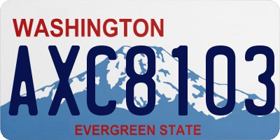 WA license plate AXC8103