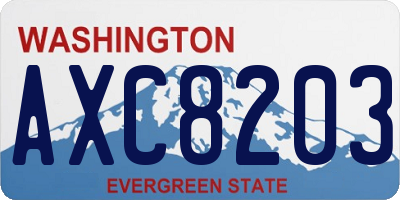 WA license plate AXC8203