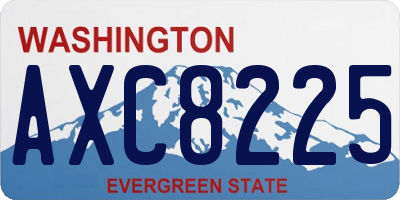 WA license plate AXC8225