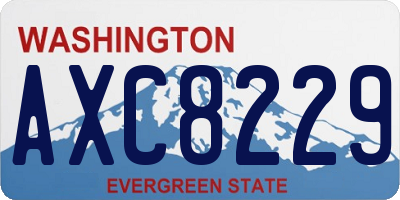 WA license plate AXC8229