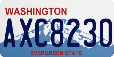 WA license plate AXC8230