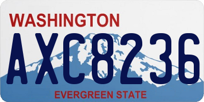 WA license plate AXC8236