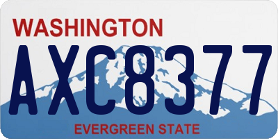 WA license plate AXC8377