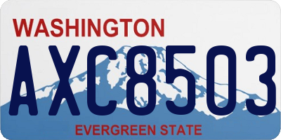 WA license plate AXC8503