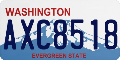 WA license plate AXC8518
