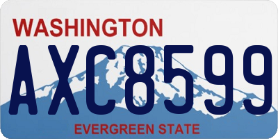 WA license plate AXC8599
