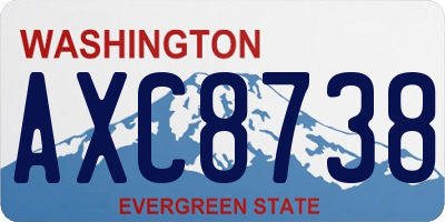 WA license plate AXC8738