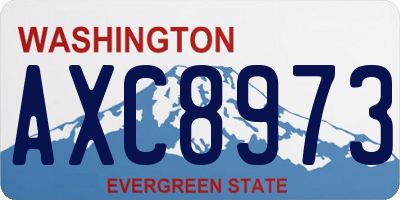 WA license plate AXC8973
