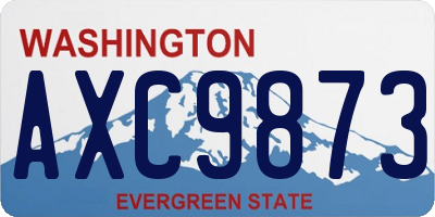 WA license plate AXC9873