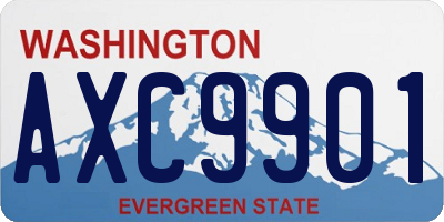 WA license plate AXC9901