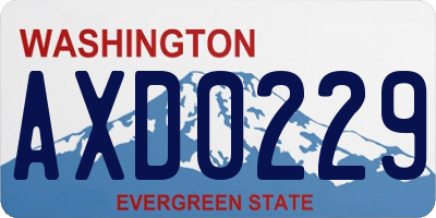 WA license plate AXD0229