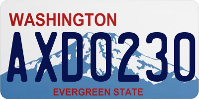 WA license plate AXD0230