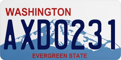 WA license plate AXD0231