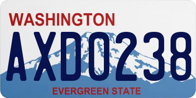 WA license plate AXD0238