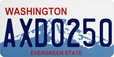 WA license plate AXD0250