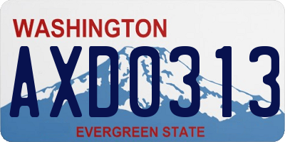 WA license plate AXD0313