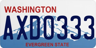 WA license plate AXD0333