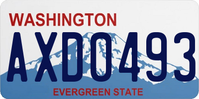 WA license plate AXD0493