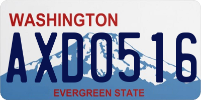 WA license plate AXD0516