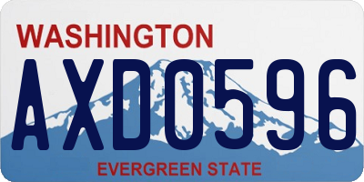 WA license plate AXD0596