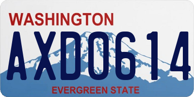 WA license plate AXD0614