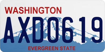 WA license plate AXD0619
