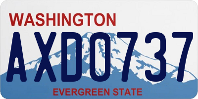 WA license plate AXD0737