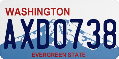 WA license plate AXD0738