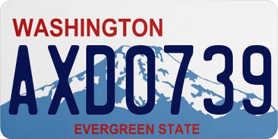 WA license plate AXD0739