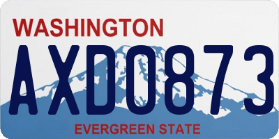 WA license plate AXD0873