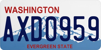 WA license plate AXD0959