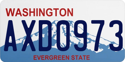 WA license plate AXD0973